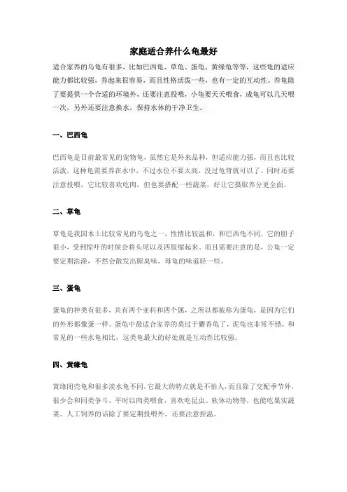 家庭适合养什么龟最好