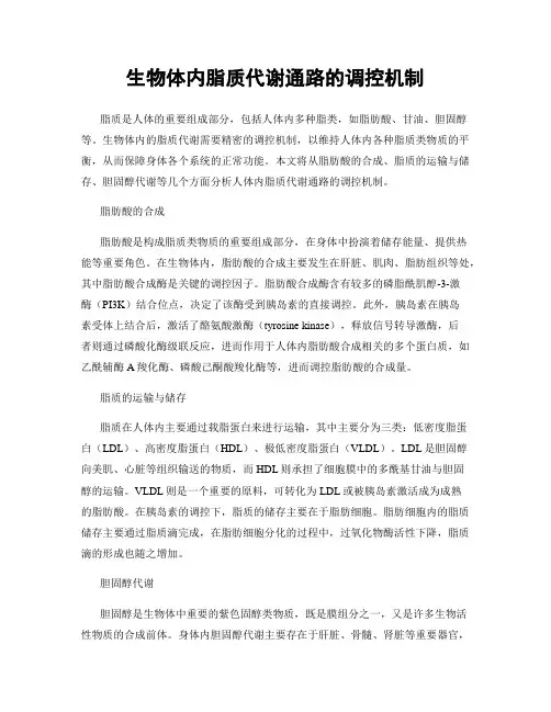 生物体内脂质代谢通路的调控机制