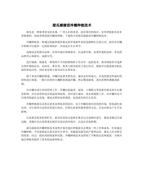 甜瓜嫁接苗冷棚种植技术