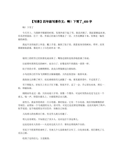 【写景】四年级写景作文：啊!下雪了_450字