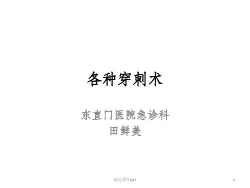 《各种穿刺术》PPT课件