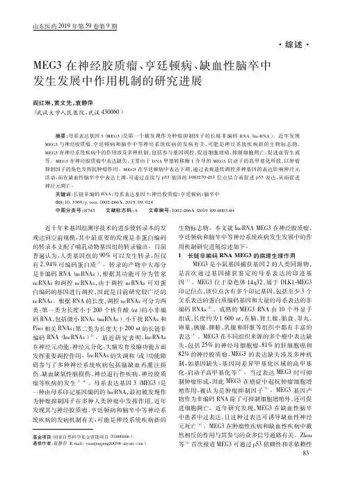 MEG3在神经胶质瘤、亨廷顿病、缺血性脑卒中发生发展中作用机制的研究进展