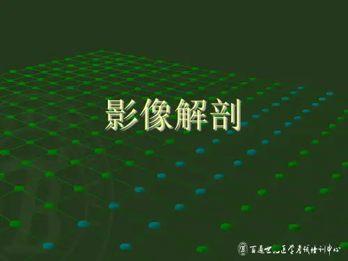 影像解剖2