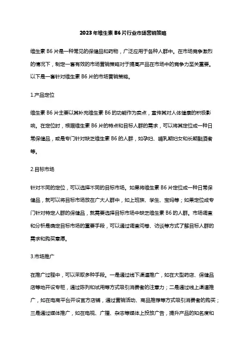 2023年维生素B6片行业市场营销策略