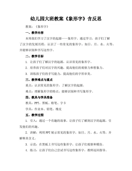 幼儿园大班教案《象形字》含反思