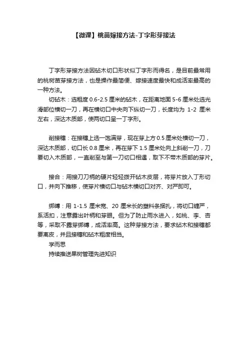 【微课】桃苗嫁接方法-丁字形芽接法