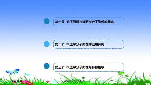 核医学分子影像培训课件