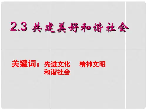 广东省江门市新会华侨中学九年级政治全册 2.3 共建美好和谐社会课件 粤教版