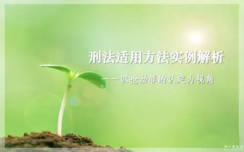 刑法适用方法实例解析 -讲课课件