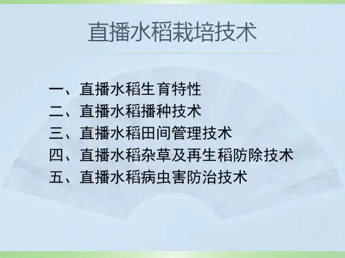 直播水稻栽培技术
