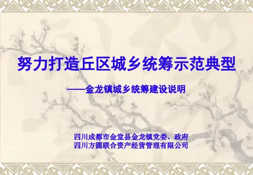 金堂金龙镇城乡统筹建设规划