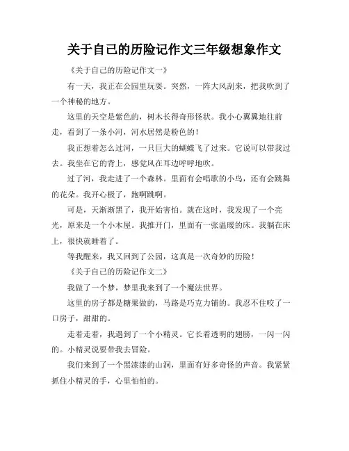 关于自己的历险记作文三年级想象作文