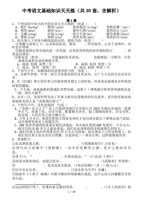 中考语文基础知识天天练(共20套,含解析)