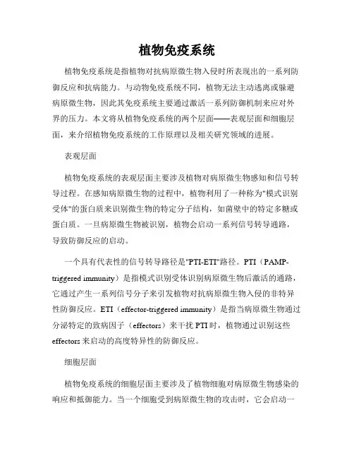 植物免疫系统