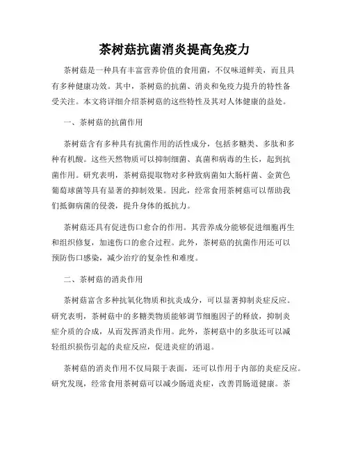 茶树菇抗菌消炎提高免疫力