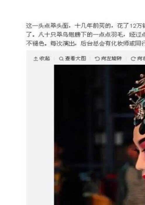 “点翠”之争