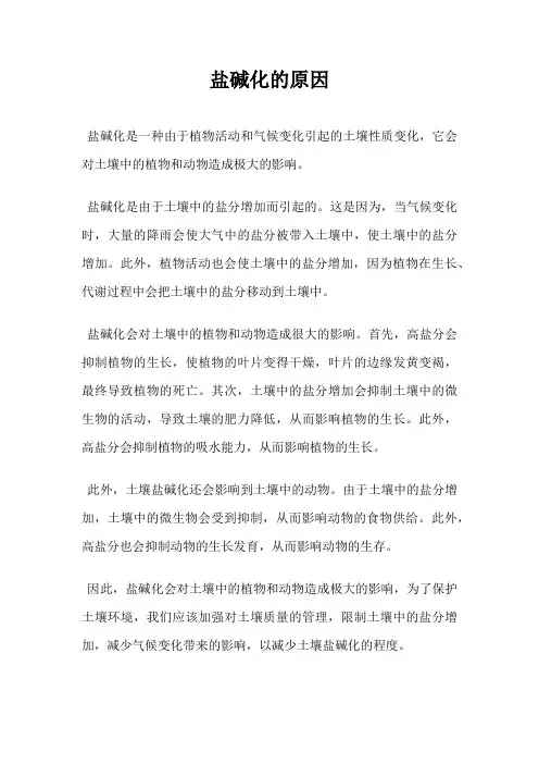 盐碱化的原因
