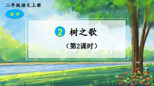2 树之歌 第二课时课件