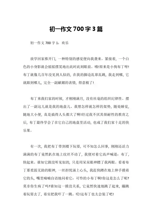 初一作文700字3篇