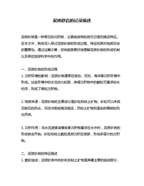 泥质砂岩的记录描述