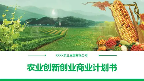 【精品】农业创新创业商业计划书ppt