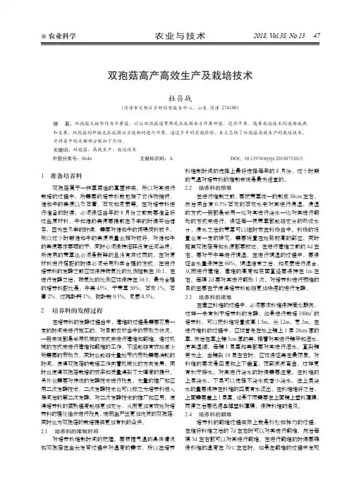 双孢菇高产高效生产及栽培技术