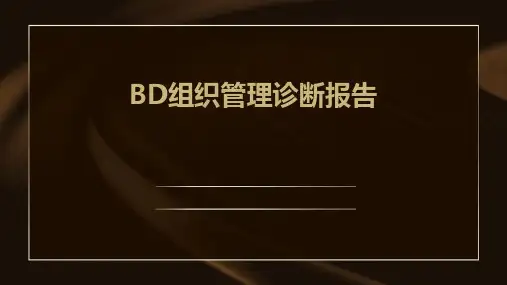 BD组织管理诊断报告