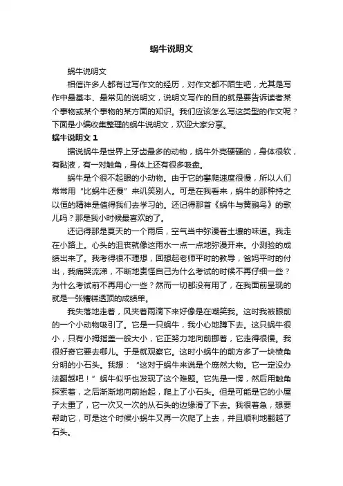 蜗牛说明文