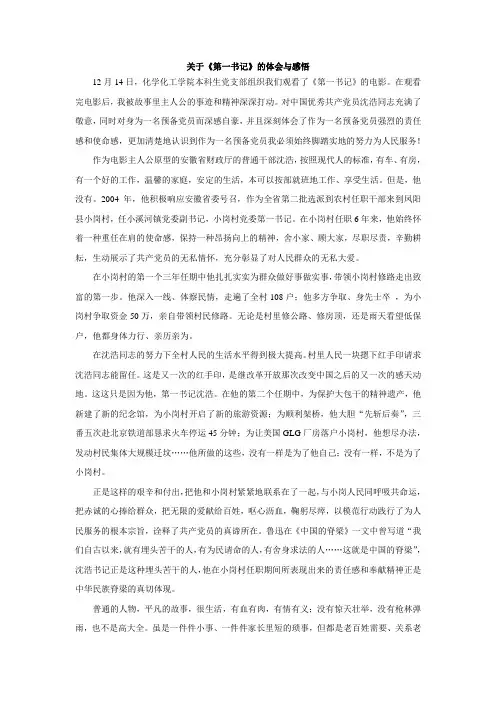 电影《第一书记》观后感