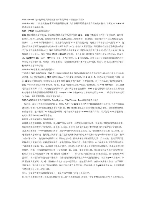 SDS-PAGE电泳的原理及浓缩胶浓缩样品的原理甘氨酸的作用