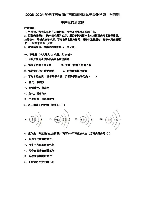 2023-2024学年江苏省海门市东洲国际九年级化学第一学期期中达标检测试题含解析