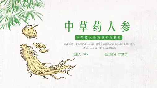 简约中国风中草药人参功效介绍ppt