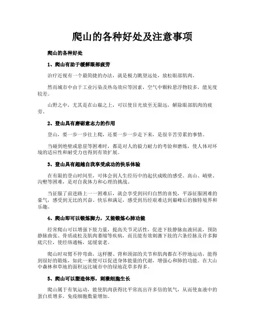 爬山的各种好处及注意事项