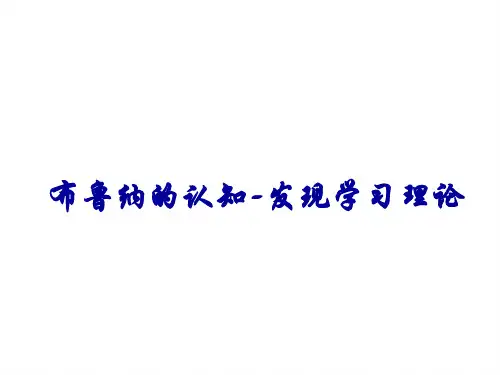 布鲁纳的认知-发现学习