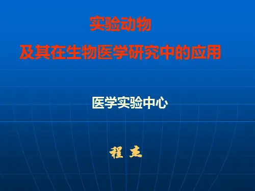 常用实验动物及其在生物医学研究中的应用 (1)
