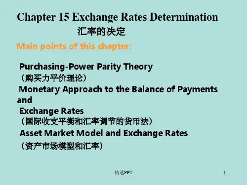 《汇率的决定》PPT课件