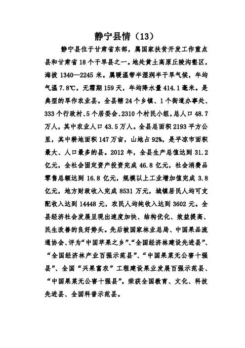 静宁县情