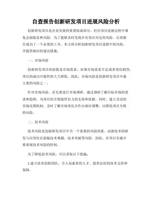 自查报告创新研发项目进展风险分析