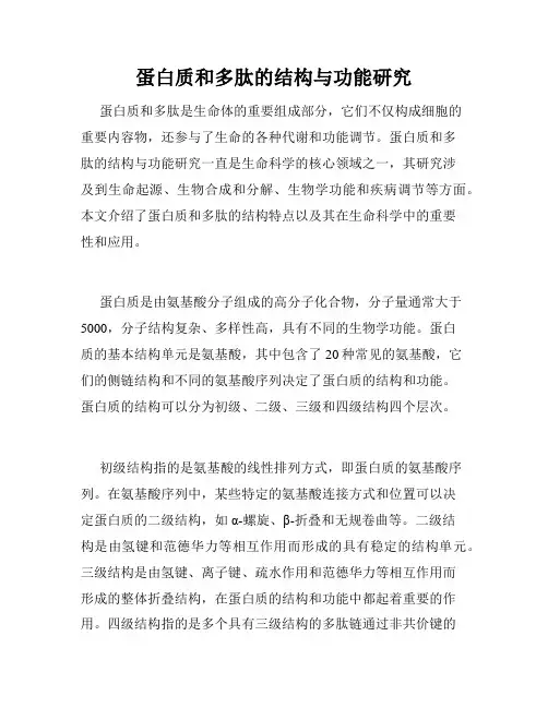蛋白质和多肽的结构与功能研究