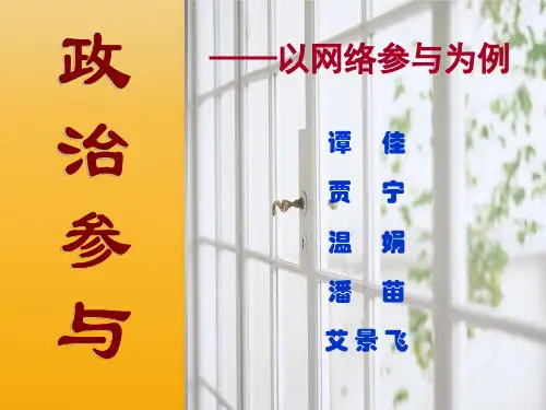 网络政治参与
