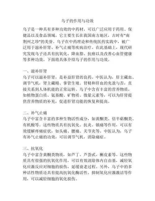 乌子的作用与功效