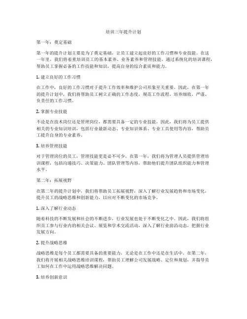 培训三年提升计划