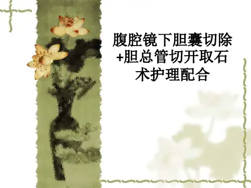 腹腔镜下胆囊切除 胆总管切开取石术护理配合ppt课件