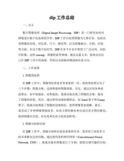 dip工作总结