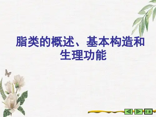 脂类的概述、基本构造和生理功能