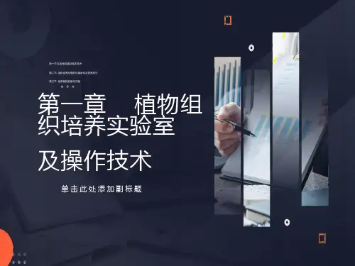 全面组织培养实验室及操作技术