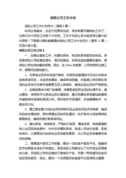 保险公司工作计划范文（通用5篇）