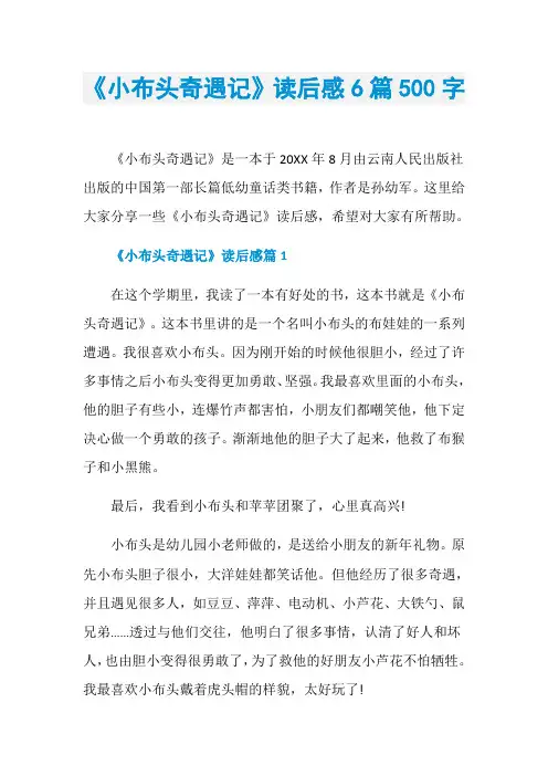 《小布头奇遇记》读后感6篇500字