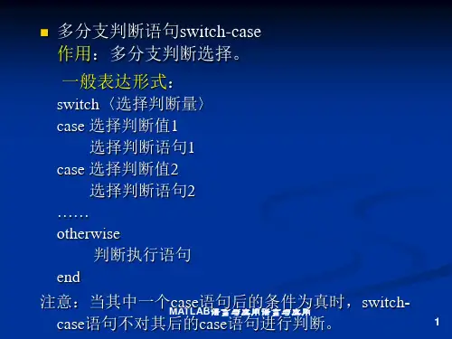 多分支判断语句switch-casePPT课件