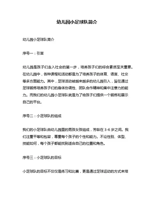 幼儿园小足球队简介